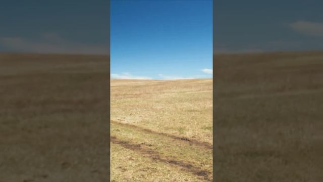 Высокая производительность Fendt на обработке залежных земель в Забайкалье