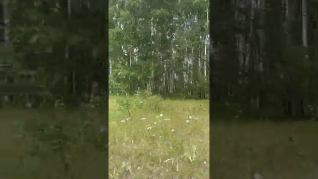 Семейная прогулка. Семиозерный монастырь. Святыни. Семиозерный источник. Татарстан смотреть онлайн