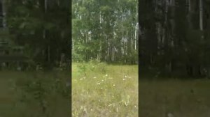 Семейная прогулка. Семиозерный монастырь. Святыни. Семиозерный источник. Татарстан