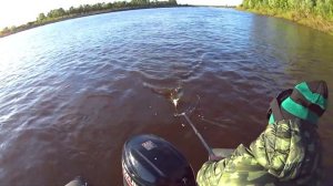 ✅НАЛОВИЛИ МНОГО ЩУКИ на ТРОЛЛИНГ / ЛОВЛЯ ТРОЛЛИНГОМ