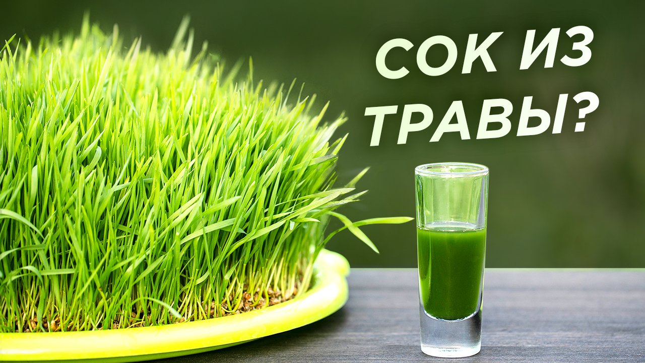 Отжим витграсса в Hurom H320N | Сок из проростков пшеницы смотреть онлайн