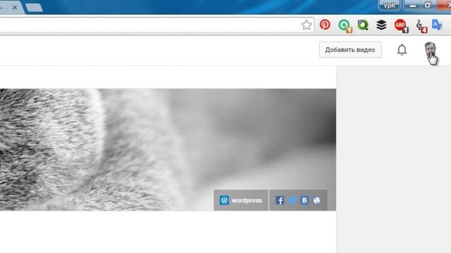 Url что такое