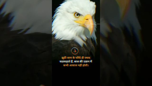 Buddha Motivation Short ##$ubcribe##true Lines