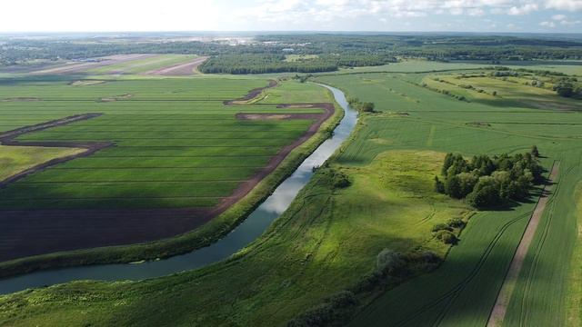 Заливные луга в деревне Изволь. Аэросъемка. Краски лета! смотреть онлайн