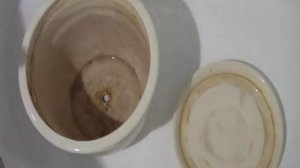 FlyLady / Система Флайледи. Как быстро и легко удалить налет с цветочного горшка.