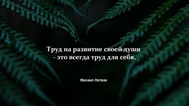 Шок! Психиатры знают ВСЁ о нас?! l Юнг, Фрейд, Бёрн и другие l Топ цитат и афоризмов о психологии смотреть онлайн