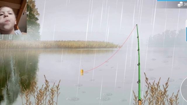 стрим часть 2