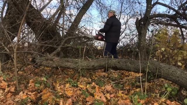 РАСЧИЩАЮ ЗАВАЛЫ В ДЕРЕВНЕ.. смотреть онлайн