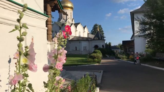 Белые розы смотреть онлайн