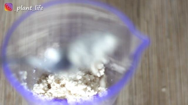 Творожные рецепты: запеканки и пироги