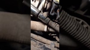 замена кальца форсунки и мальника,.Газель некст каменс.