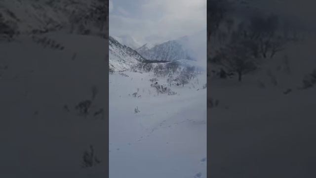 НА КАМЧАТКЕ МЕДВЕДЬ ПРЕСЛЕДОВАЛ ЛЮДЕЙ смотреть онлайн