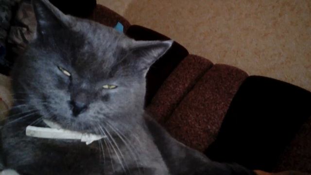 Важное включение