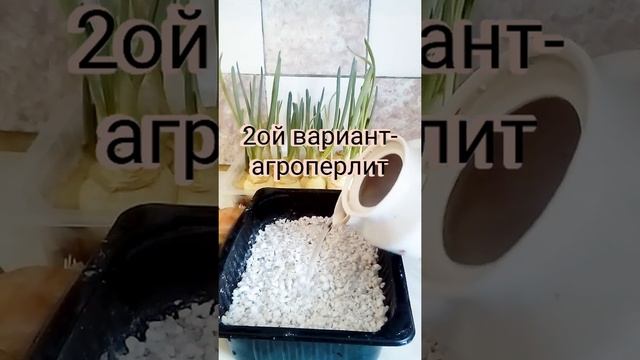 3еленый лук дома смотреть онлайн