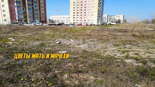 утиный пруд слайд шоу Череповец |үйрек тоған смотреть онлайн