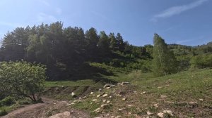 Поездка в Горный Алтайский край. Чарыш. Сентелек.