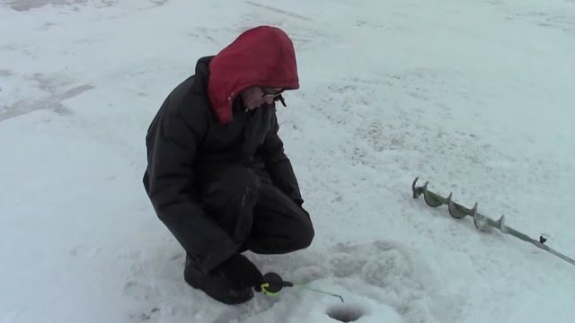 Волга 2015 Волгоградская обл г Камышин смотреть онлайн