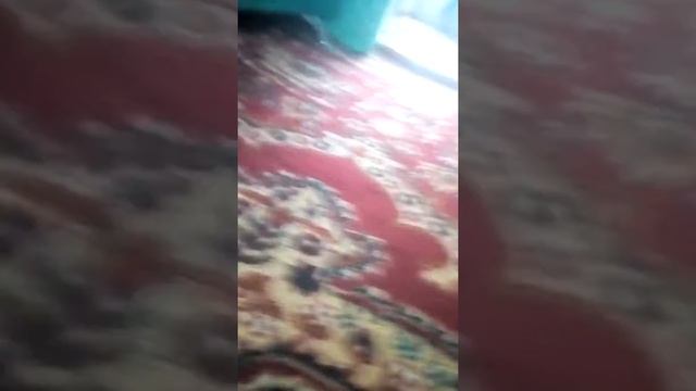 Новая игрушка смотреть онлайн