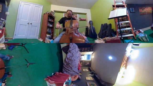 Bach Cello Suite #2- Allemande - GoPro Fusion 360 смотреть онлайн