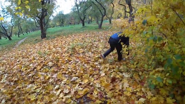 Узнай правду о парке Коломенское смотреть онлайн