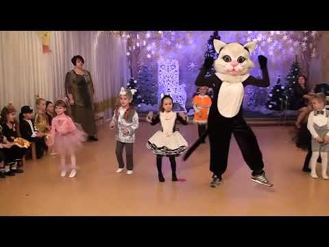 Танец кошек 2017 смотреть онлайн