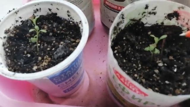 Строительные Отчеты