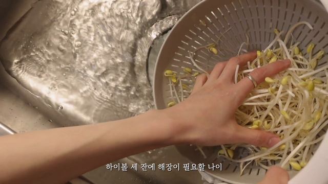 Sub | 자취생의 짠한 혼술 혼밥 일상 브이로그 | 굴솥밥, 콩나물국, 닭가슴살 스테이크, 제육볶음 | 하이볼 만들기 | 토스트 만들기 смотреть онлайн