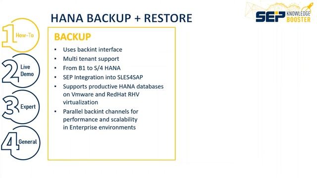 Backup of SAP HANA with SEP sesam (Lang_EN) смотреть онлайн