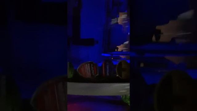 Suzuki every modification смотреть онлайн