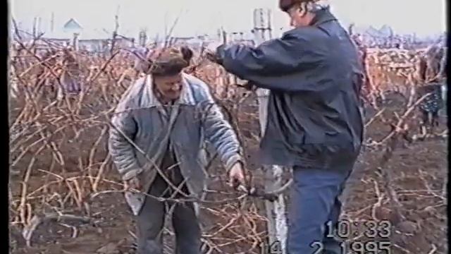 НАЧАЛО СЕМЕЙНОГО ДЕЛА КЮРПЯ 1995г./ ПРАЗДНИК "ТРИФОН ЗАРЕЗАН" смотреть онлайн