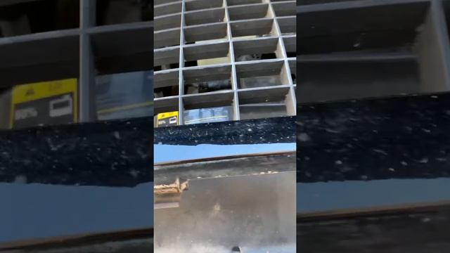Ford Excursion - F250 Ambient Air Temperature Sensor Replacement смотреть онлайн