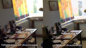 Comparison Settings Video format Sony FDR-AX33 versus Panasonic HDC-TM700 - Test