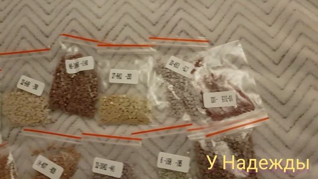 Выпуск 497/Обзор портрета/Джек пират/ смотреть онлайн