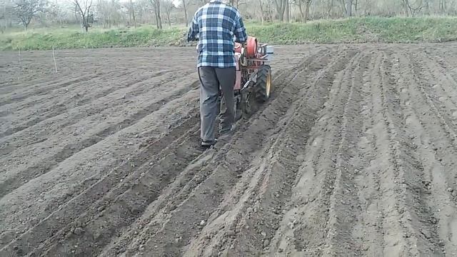 Посадка картоплі 2016 смотреть онлайн