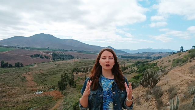 ПОЧЕМУ В ЧИЛИ ЗИМОЙ ВСЁ ЦВЕТЕТ, А НОВЫЙ ГОД - ЛЕТОМ? смотреть онлайн