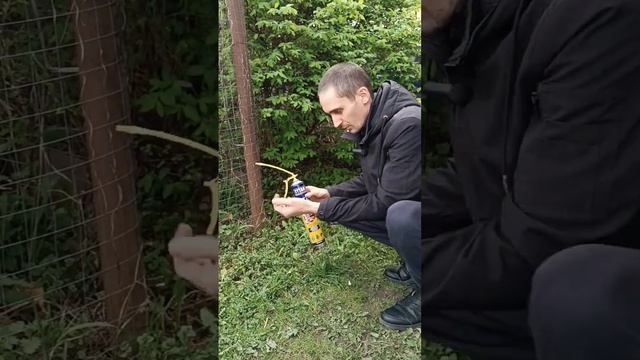 Монтажная пена Титан #монтажнаяпена #Tytan #Экострой #Новоселки #Кашира #Гениально смотреть онлайн