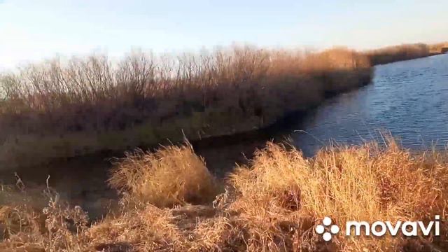 Ковыленка,октябрьский выезд смотреть онлайн