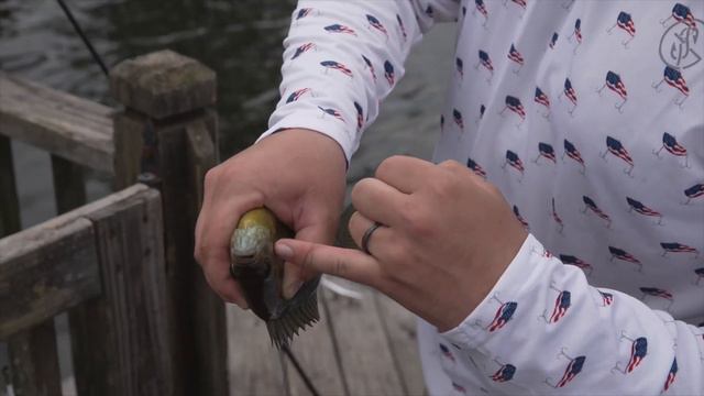 2v2 $1,000 BUDGET RANDOM STATE Fishing CHALLENGE! ( US CHALLENGE ep. 2 ) смотреть онлайн