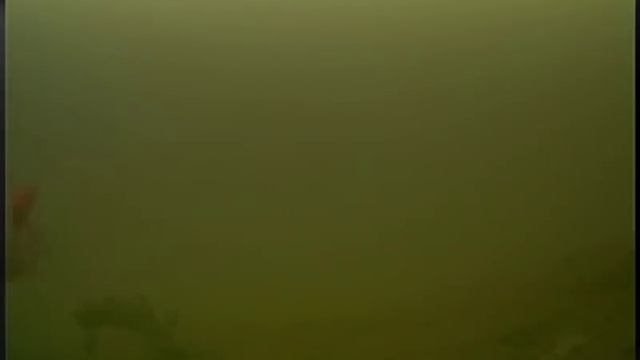 Marcum Recon 5 Plus Underwater Viewing System camera test - Busse Lake part2 смотреть онлайн