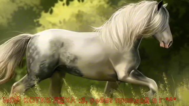 Мои друзья в ( лошади онлайн )@-@ смотреть онлайн