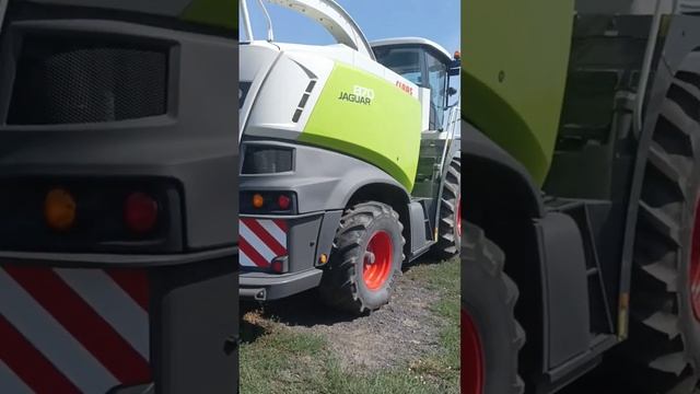 Комбайн Кормоуборочный Силосоуборочный Claas yaguar 870 экспресс-обзор от Виталия Белоглазова смотреть онлайн