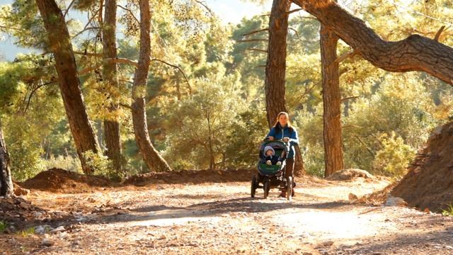 Mom With Stroller Walks in the Forest Mountain Road смотреть онлайн