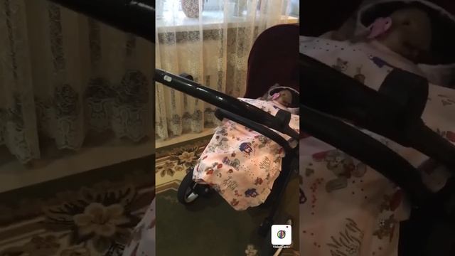 ?первая прогулка с нашей новой коляской ? смотреть онлайн