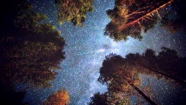 Ночной Дозор