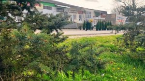 Выбираем пригород Анапы для жизни. Обзор станицы Гостагаевская