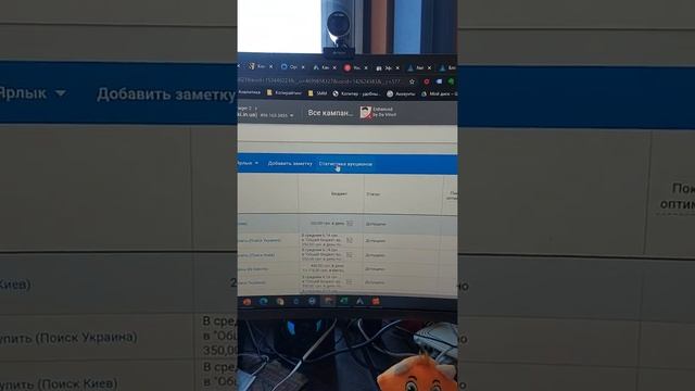 Как узнать своих конкурентов в контекстной рекламе Google Ads. Отчёт Статистика Аукционов