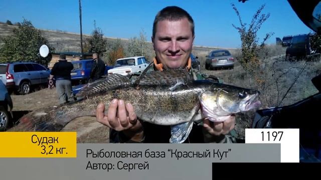 Фотоальбом - Рыбалка №239 смотреть онлайн