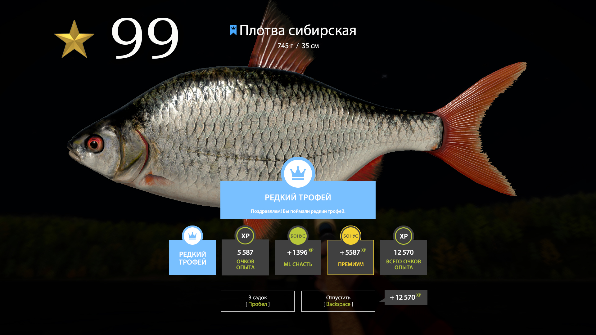 ✮ р. Нижняя Тунгуска ✮ Плотва сибирская ✮ Русская рыбалка 4 ✮ смотреть онлайн