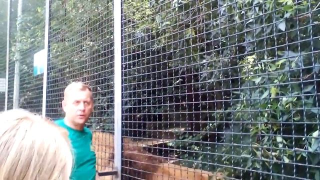 Кинг в "Сказке" смотреть онлайн