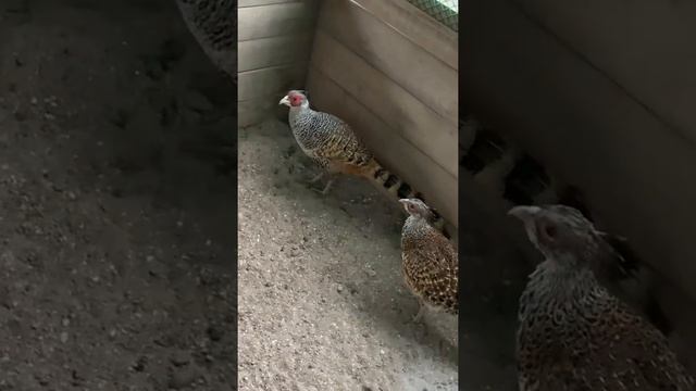 23 ноября 2020 г. смотреть онлайн